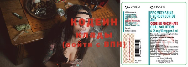дмт Абаза