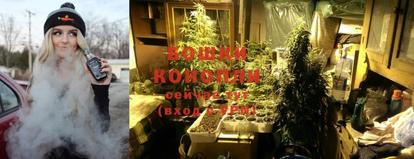 PSILOCYBIN Алзамай