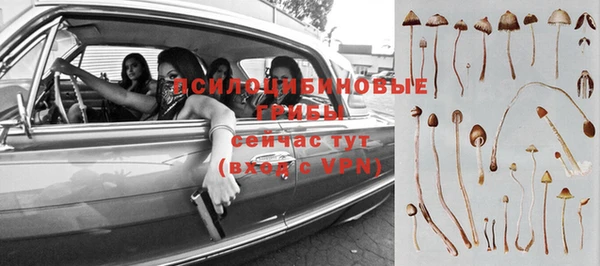 прущие крисы Абинск