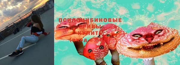 дмт Абаза
