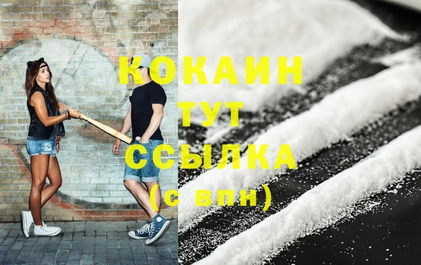 дмт Абаза