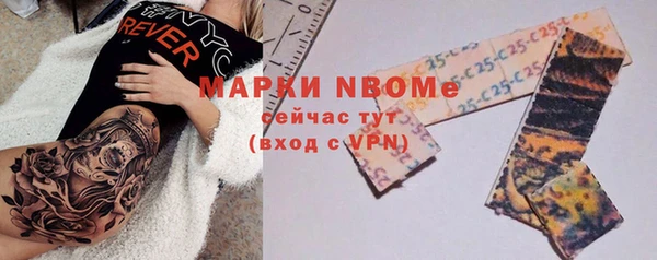 PSILOCYBIN Алзамай