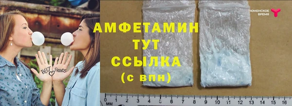 дмт Абаза
