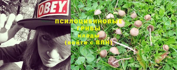дурь Абдулино