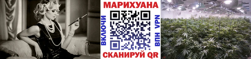 Бошки Шишки конопля  Изобильный 